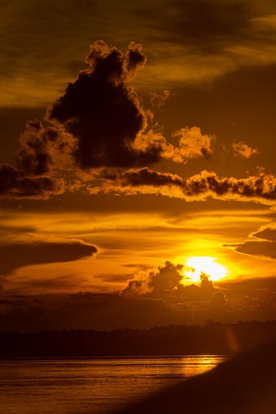 Heliconia Amazon River Lodge
