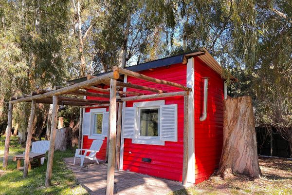 APART AL CAMPO PURA SANGRE