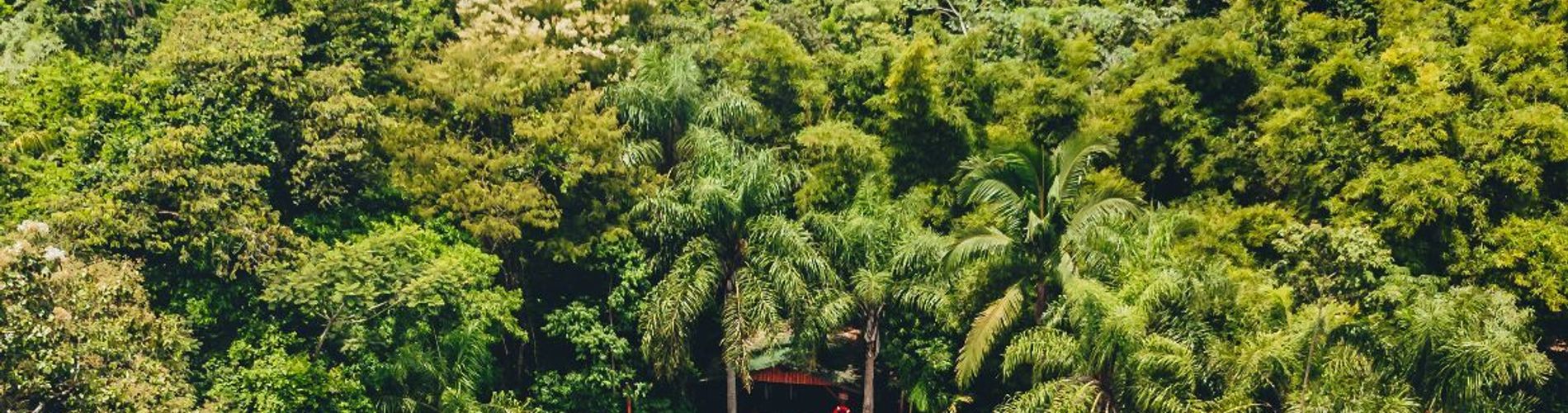 La Aldea de la Selva Lodge