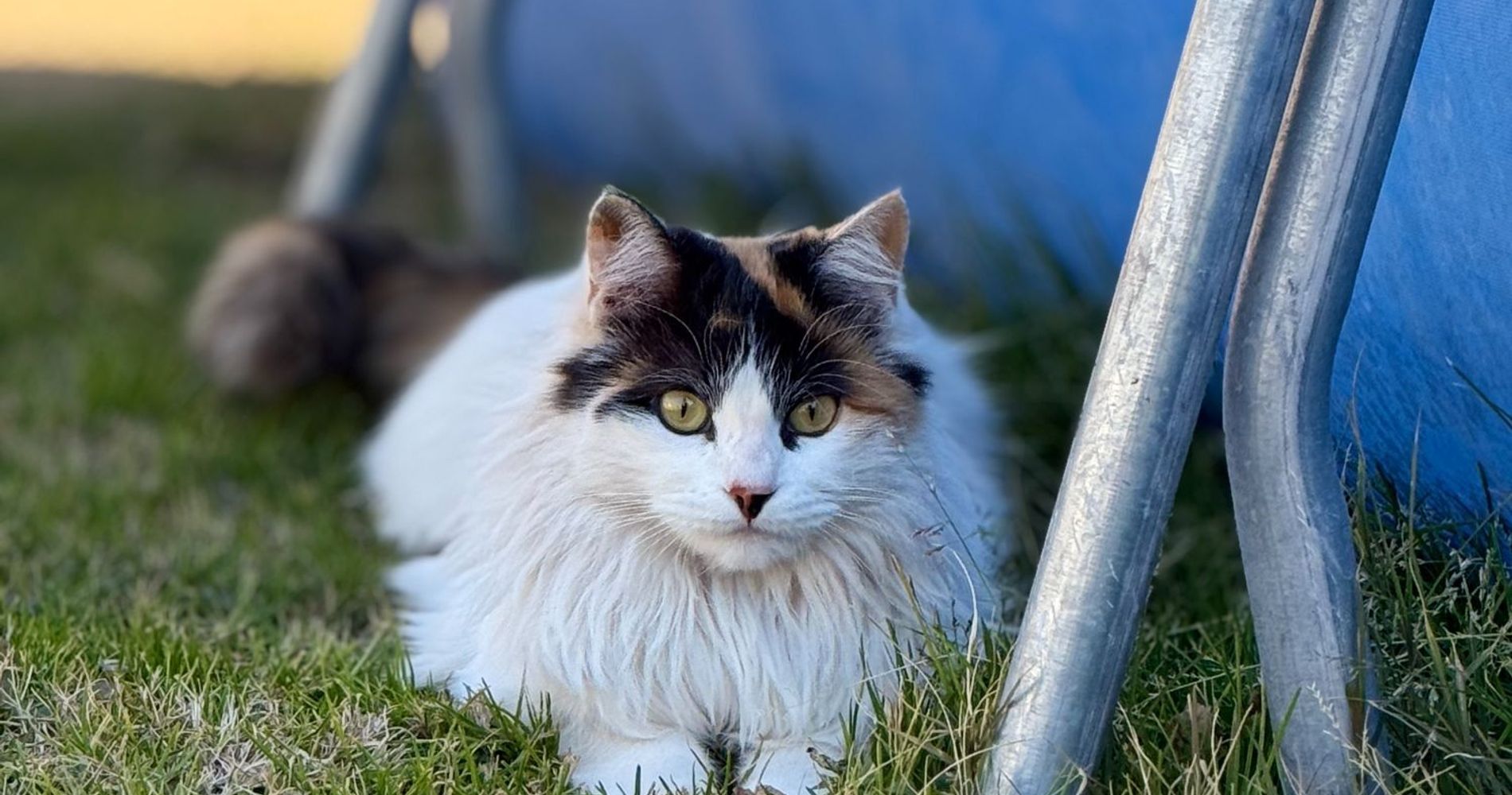 Hotel San Luis Obispo