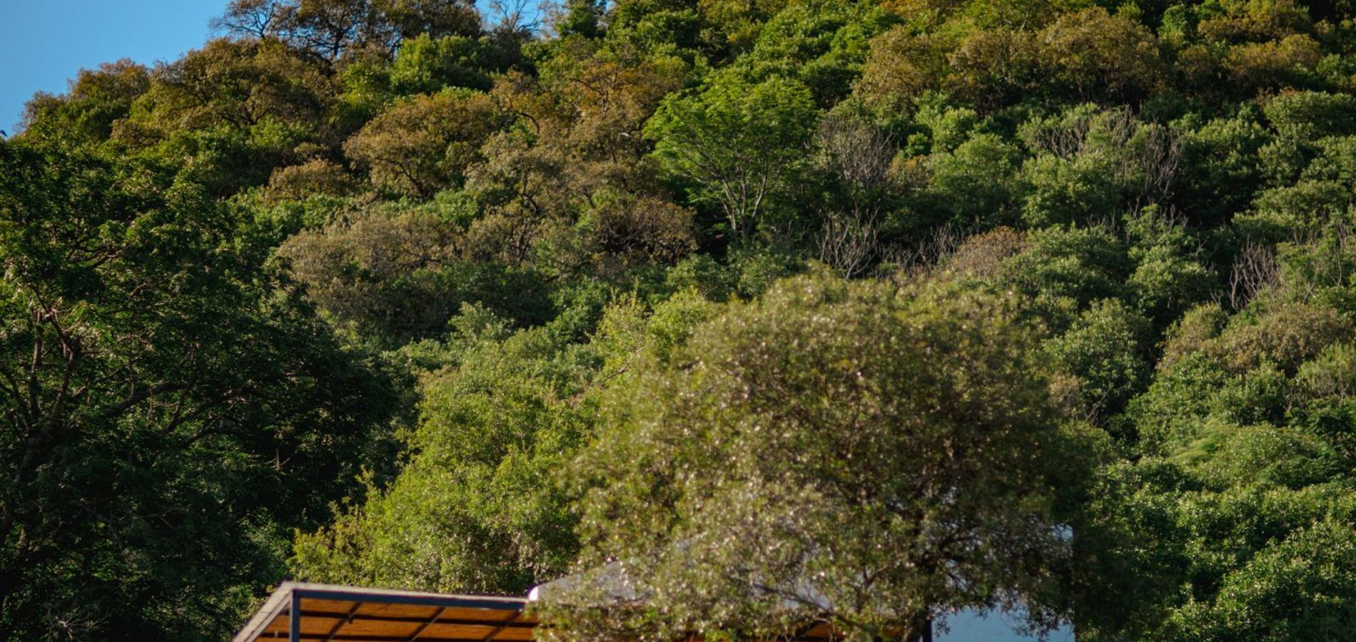 Cabañas Estancia Kamiare