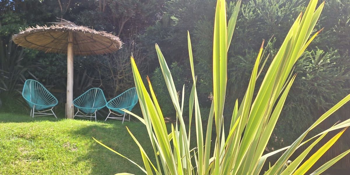 Apart Hotel Valeria Playa 