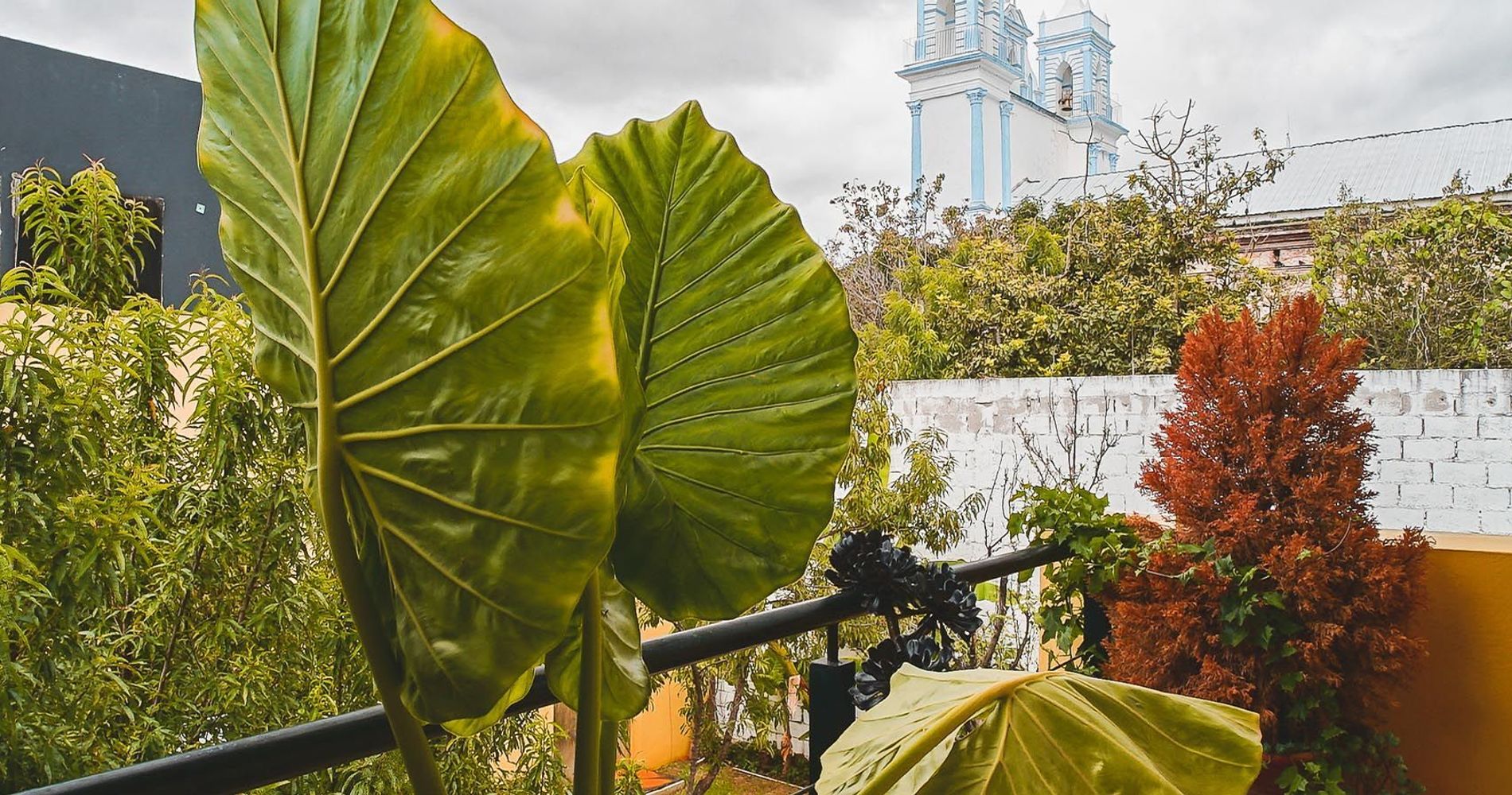 Jardines de Luz
