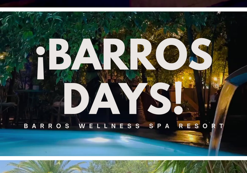 ¡ÚLTIMO BARROS DAYS DEL AÑO!