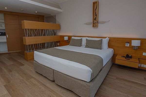 Habitación Suite Estepa