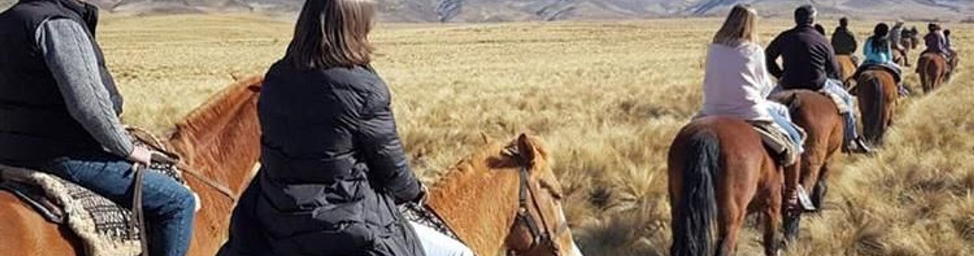 Sky Hotel La Carrera Tupungato Mendoza