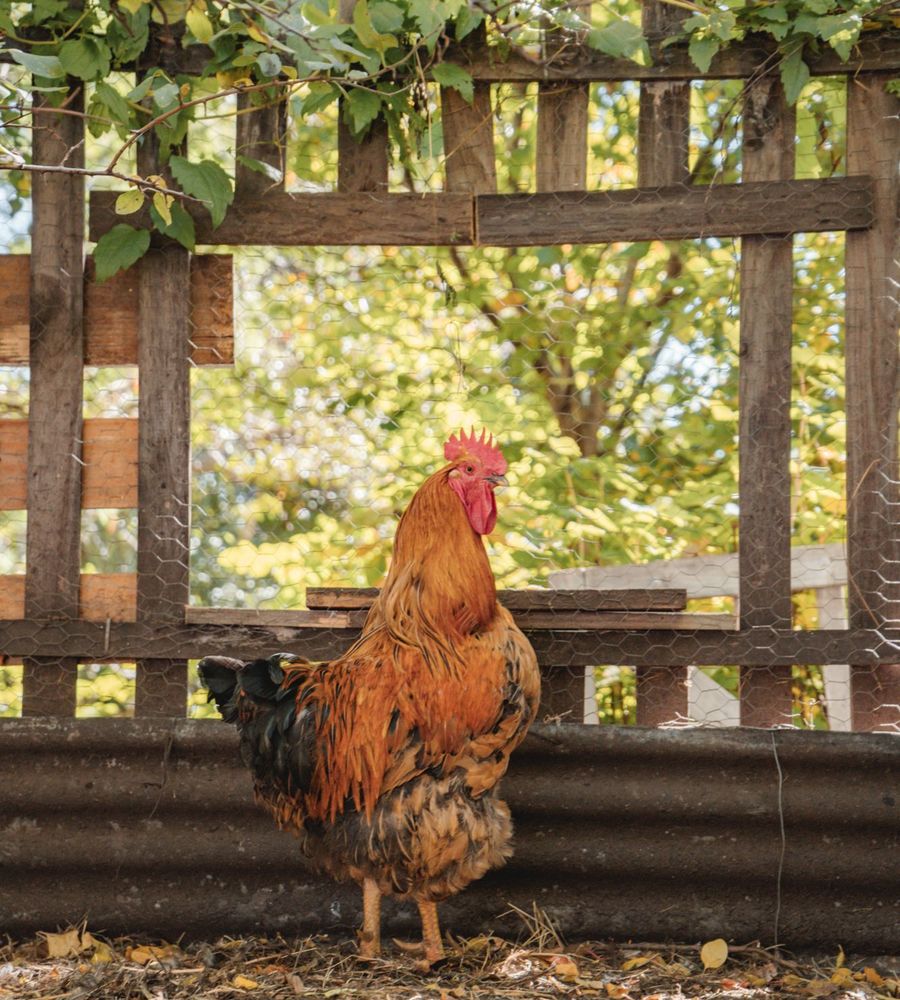 EQUS POSADA DE CAMPO