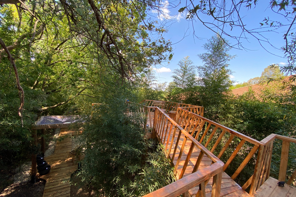 Domo La Flor de la Vida