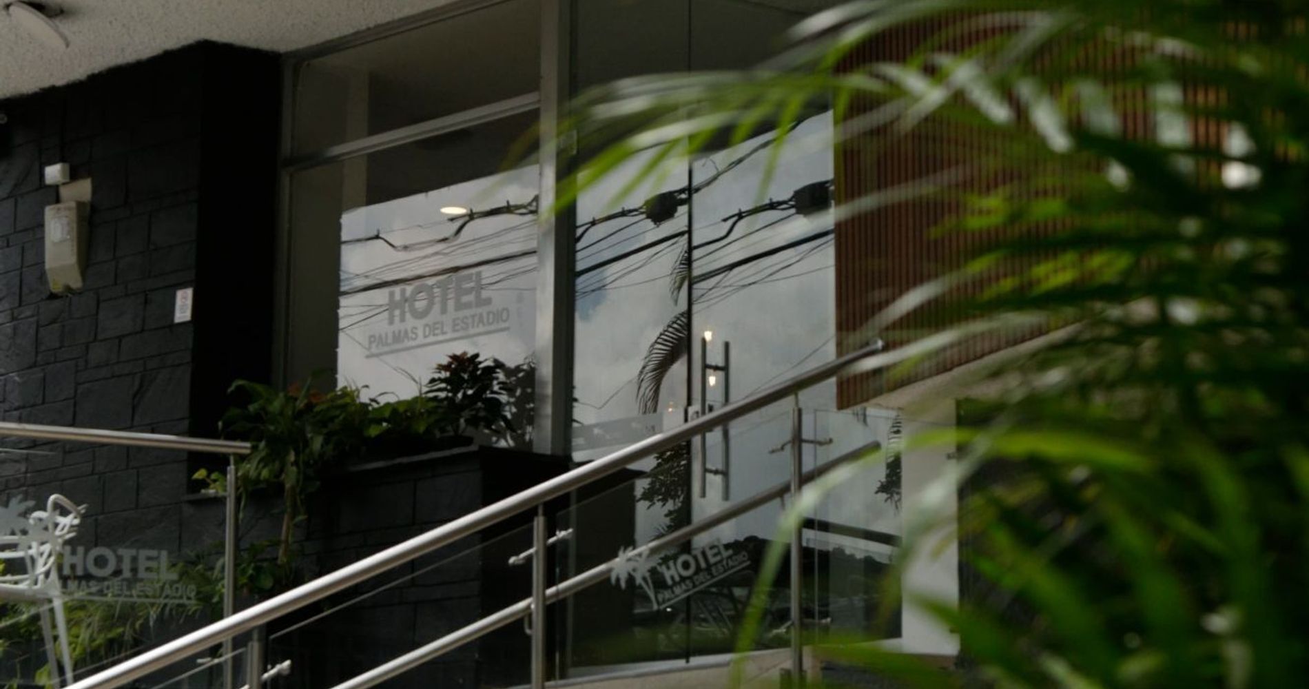 Hotel Palmas Del Estadio