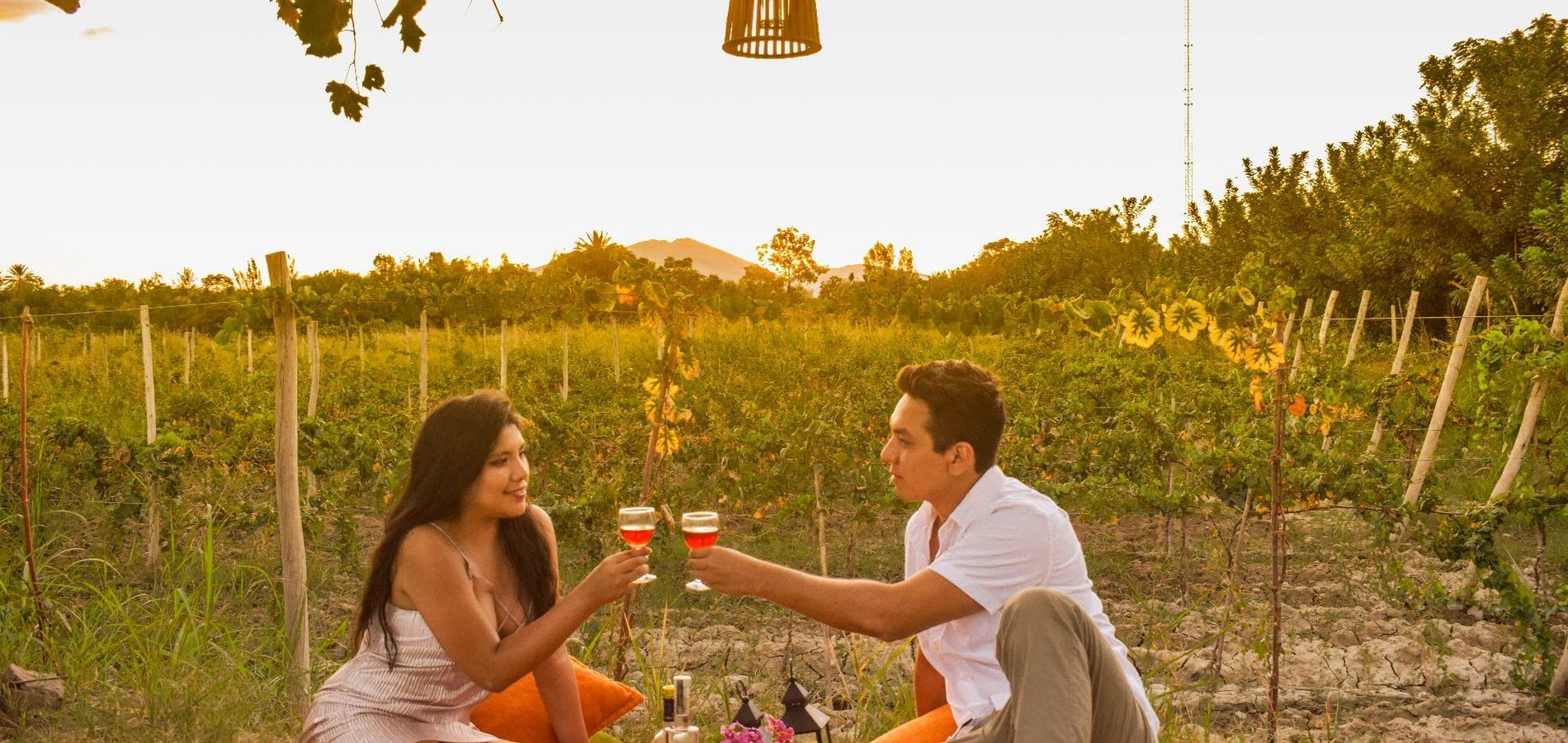 Glamping Toneles y Viñedos