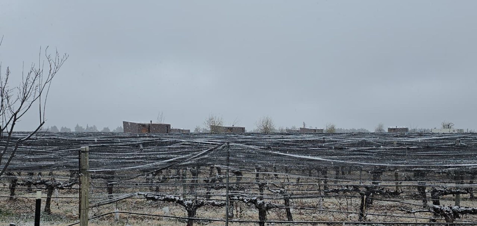 Andeluna Winery Lodge