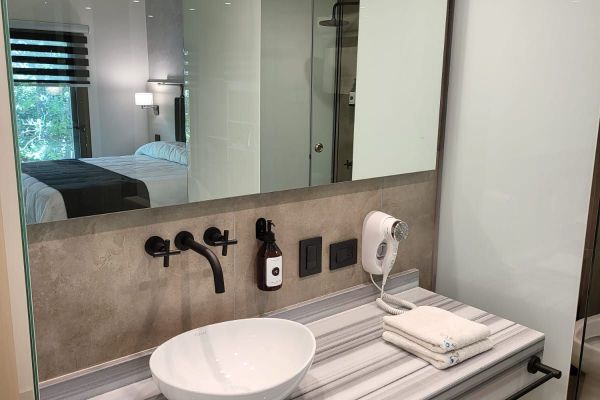 Suite hotel (Planta Alta) 302