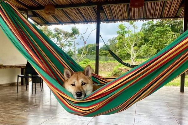 Habitación Superior