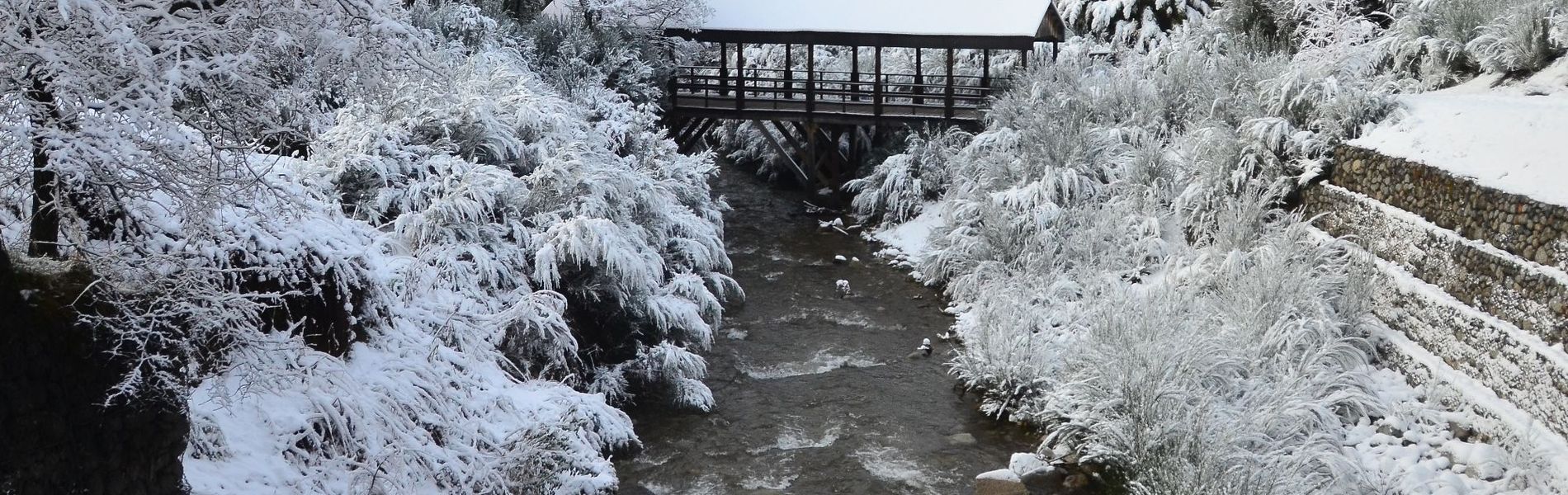 Departamentos De El Mercado