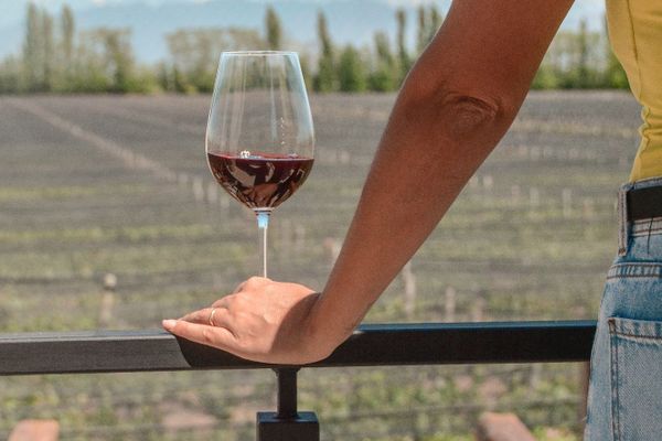 Agrelo Vines