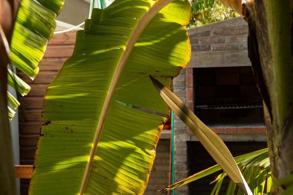 Apartamento Premium c/yacuzzi