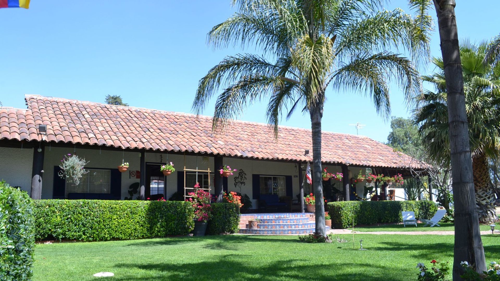 Teotihuacan Palms