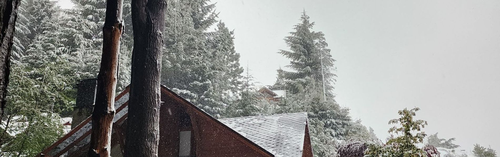 Casa del Bosque Aparts & Suites