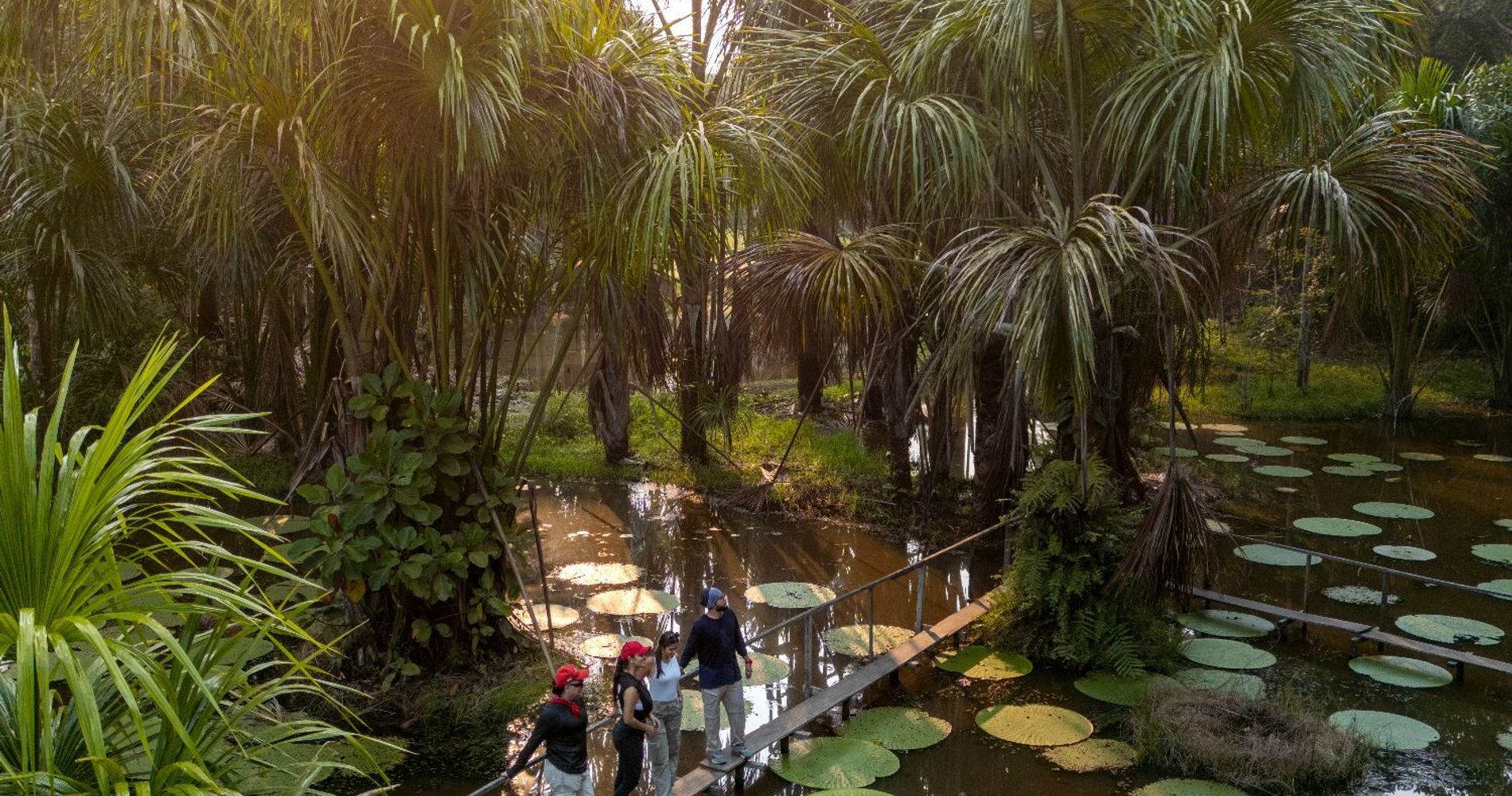 Heliconia Amazon River Lodge