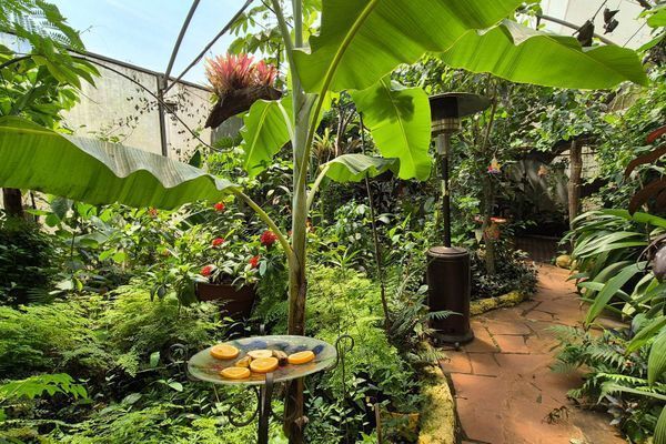 Botanica The House Experience