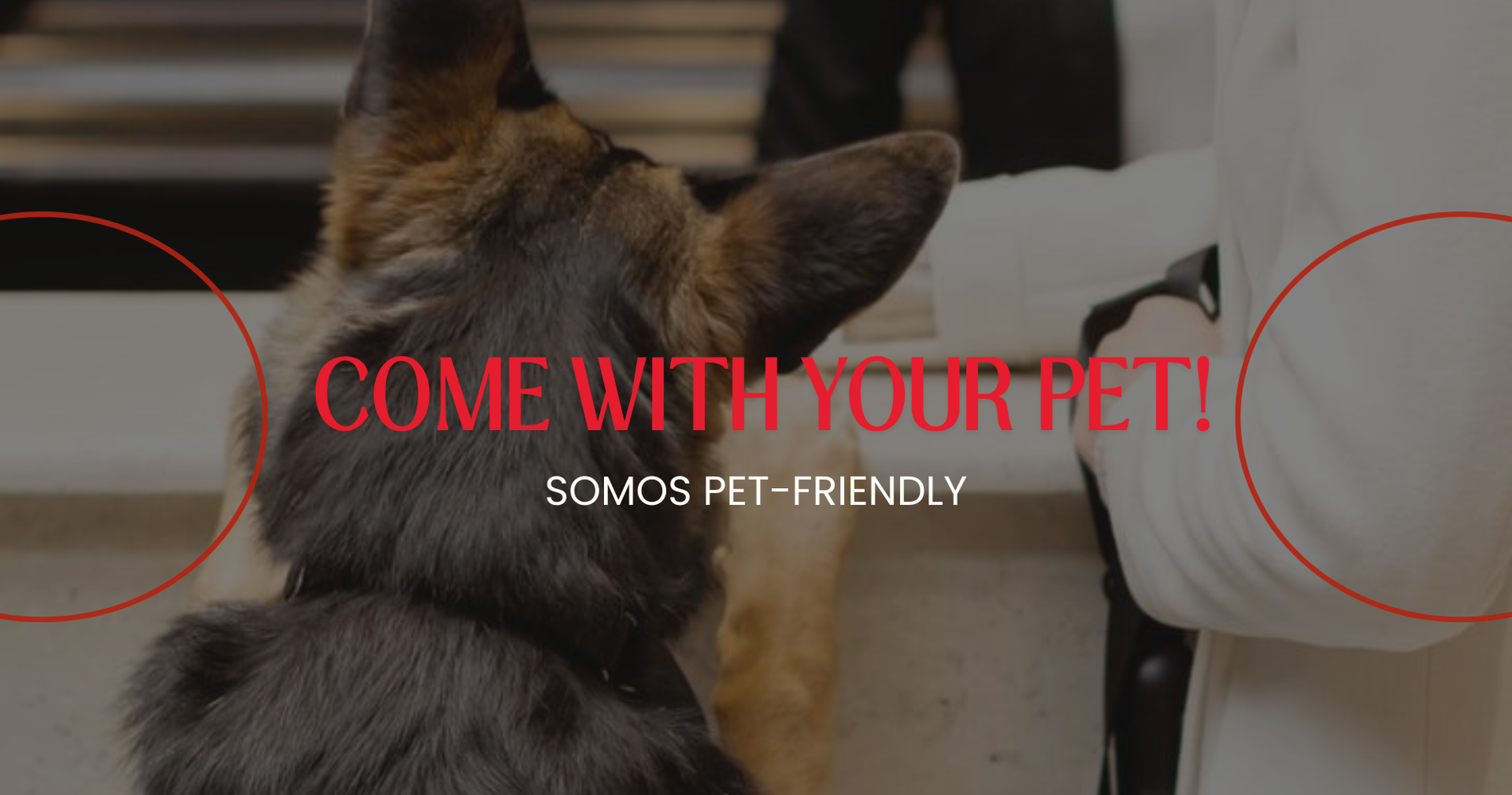 Hotel Windsor Mendoza