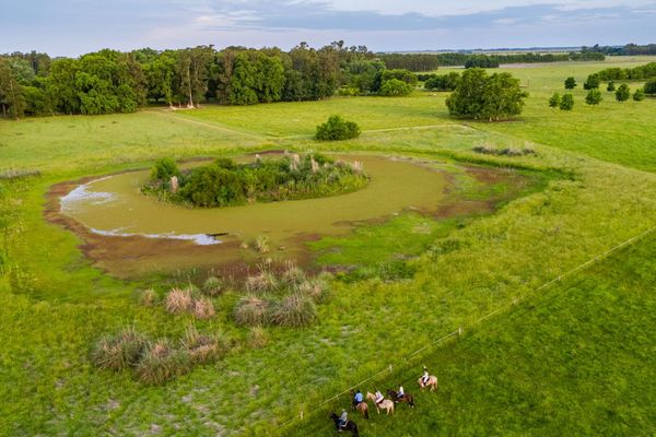 Día de campo Gaucho