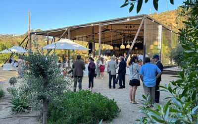 Parquelaguna - Matrimonios