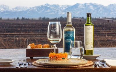 AndelunaCellarsSRL - Restaurante 