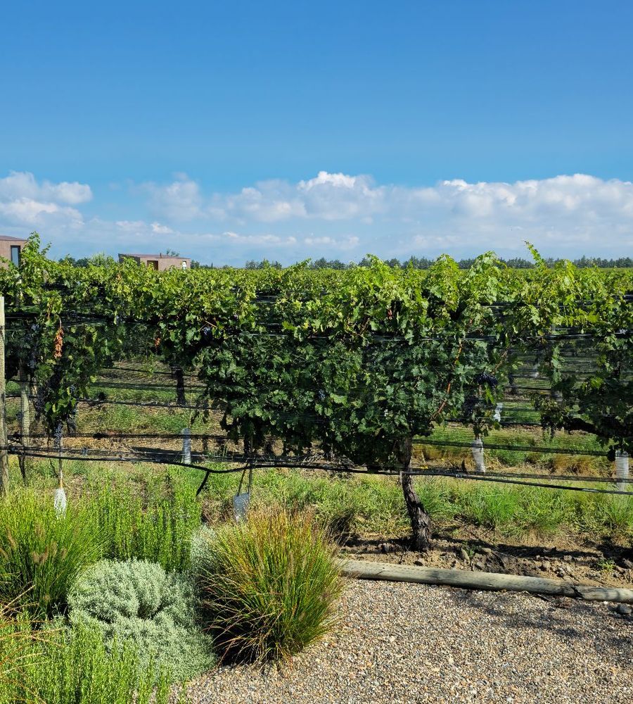 Andeluna Winery Lodge