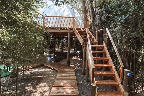 Domo La Flor de la Vida