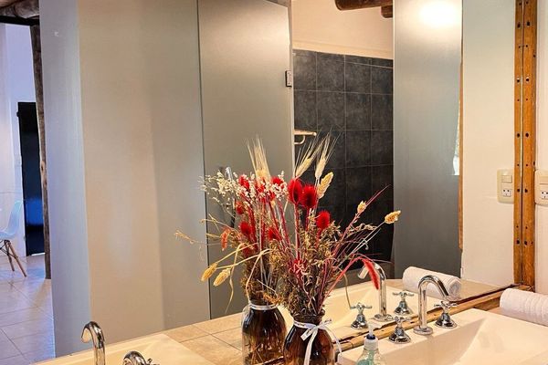 APART AL CAMPO PURA SANGRE