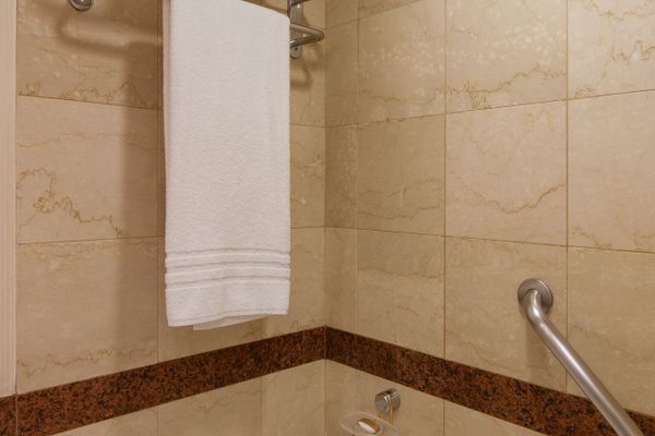 Habitación Deluxe TWIN