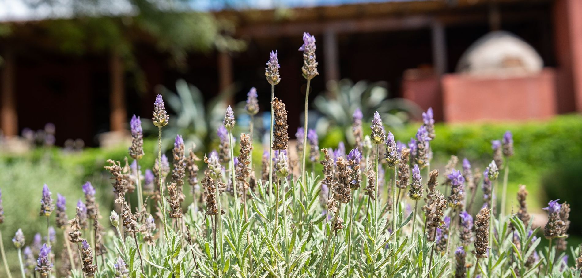 Sentio Camps Glamping