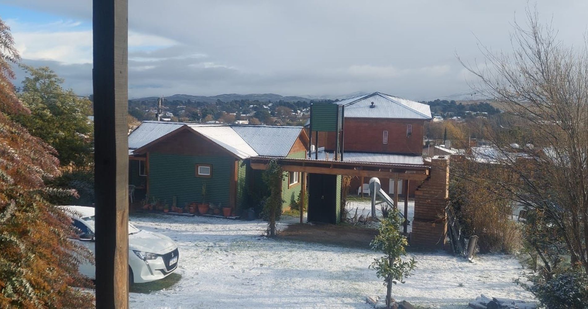 Los Cardones