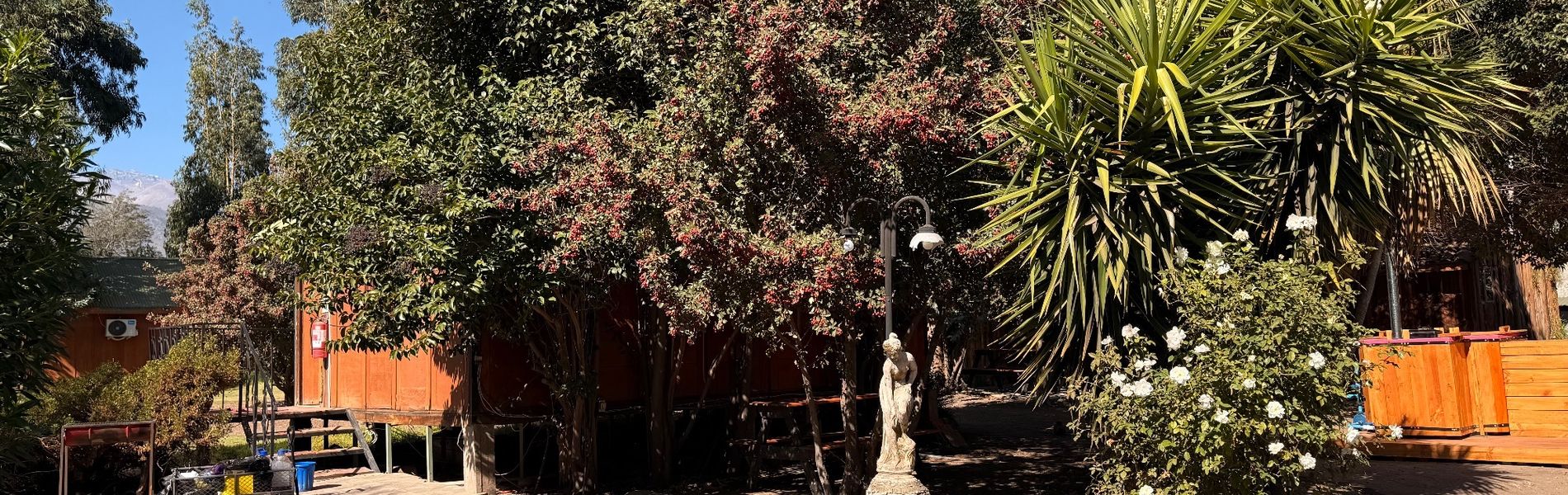 LOS OLMOS HOTEL. SELFIBAR RESTAURANT