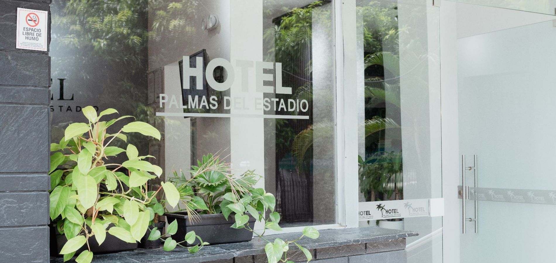 Hotel Palmas Del Estadio