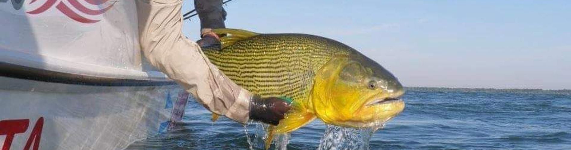 Piedra Alta Hotel & Restaurante