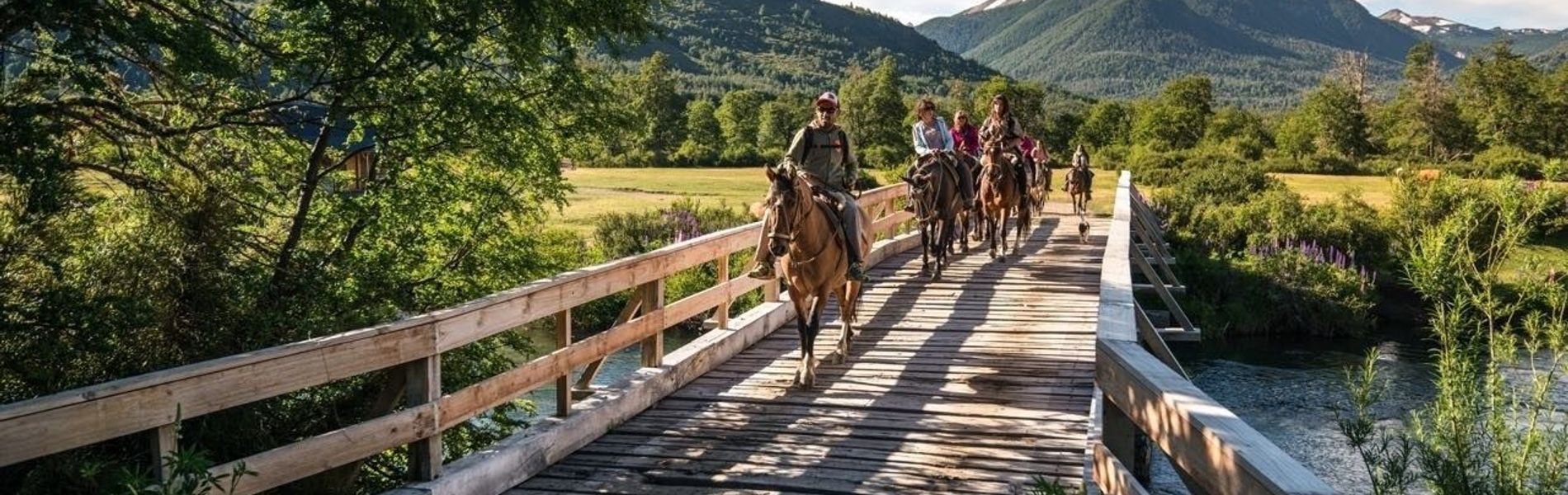 Magnifique lodge écologique