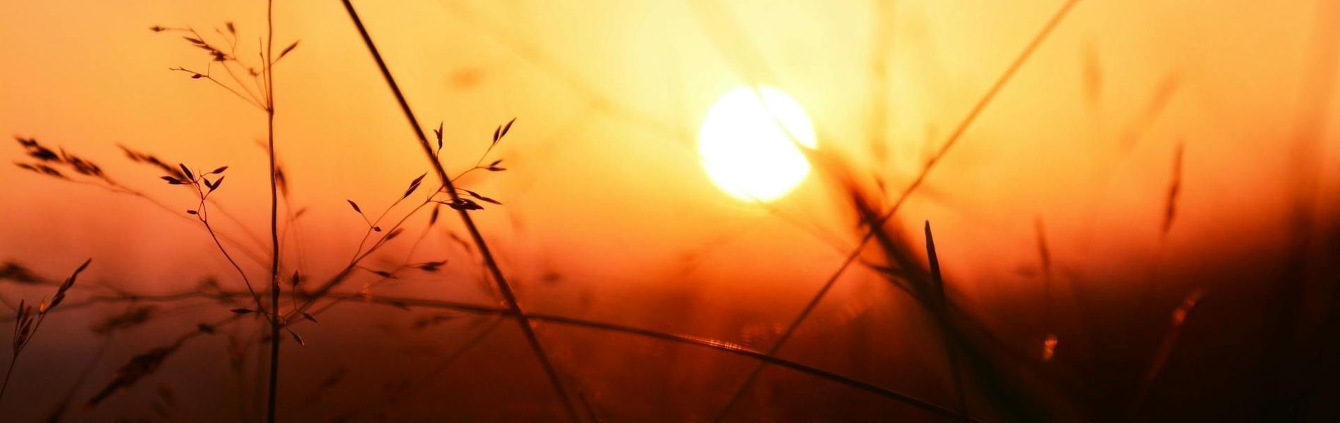 Brisas del Campo Glamping & Eventos