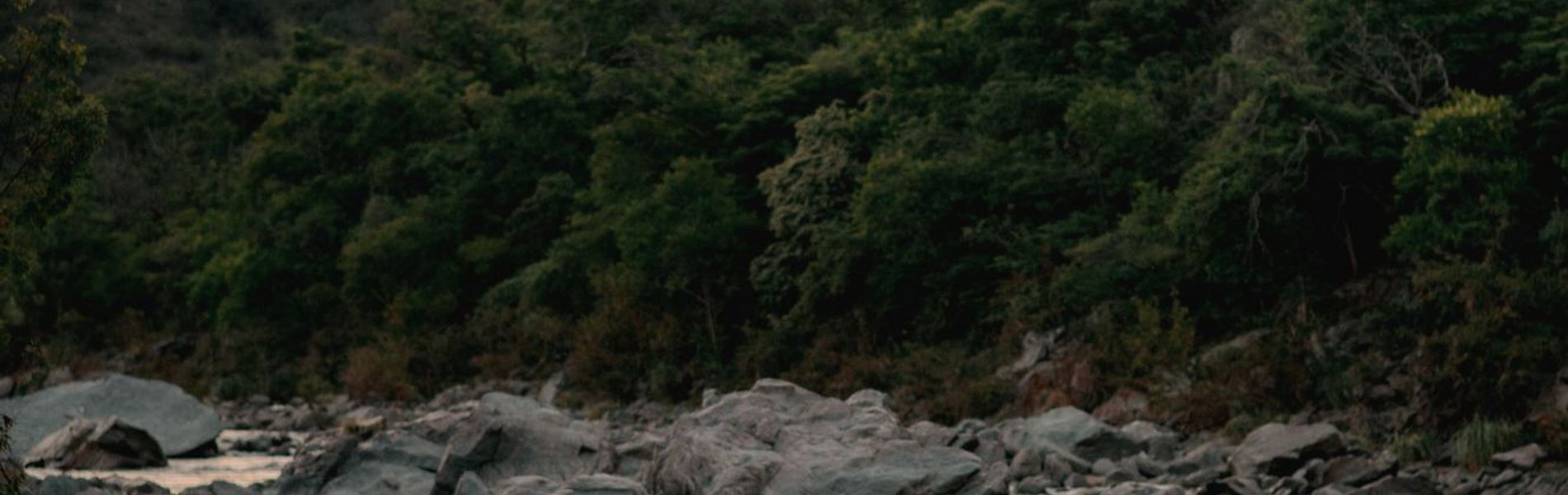 Cabañas Estancia Kamiare