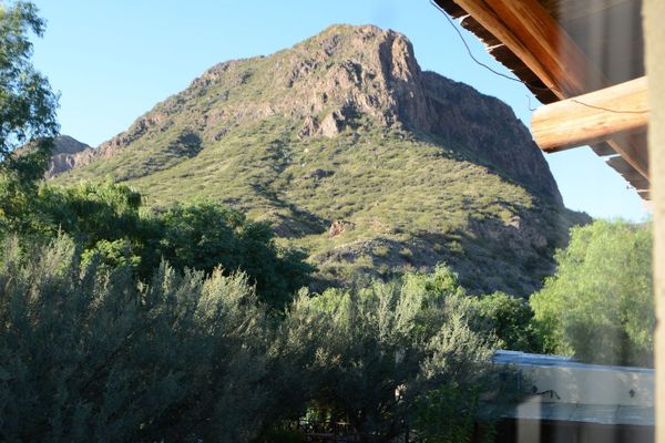 Eucaliptos - hasta 6 pax 