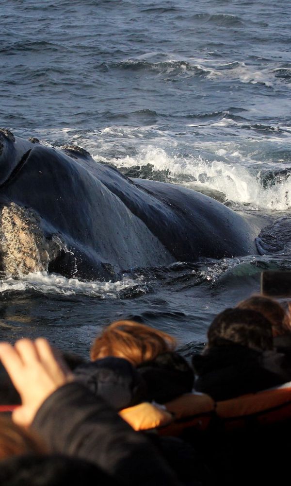 Rayentray Las Restingas Hotel de Mar