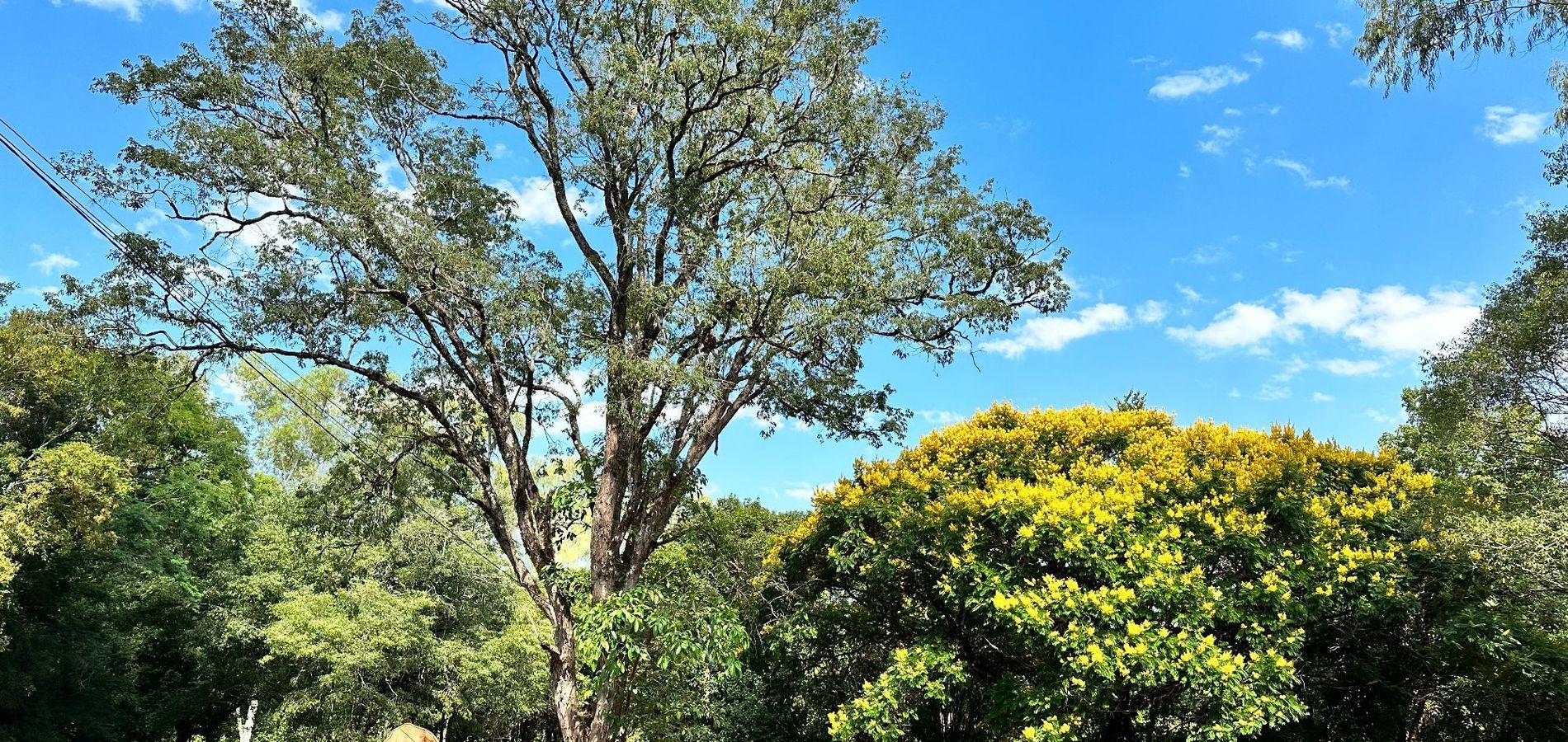 Parque Hotel Manantial