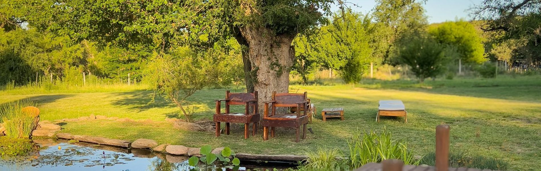 Glamping Tica Nativo