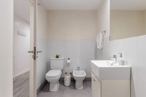 EXPERIENCIA ZAFIRO (502)