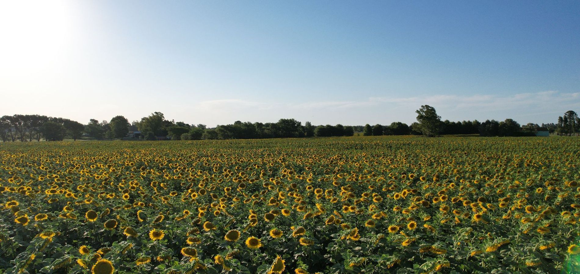 La Santina Posada & Experiencias de Campo