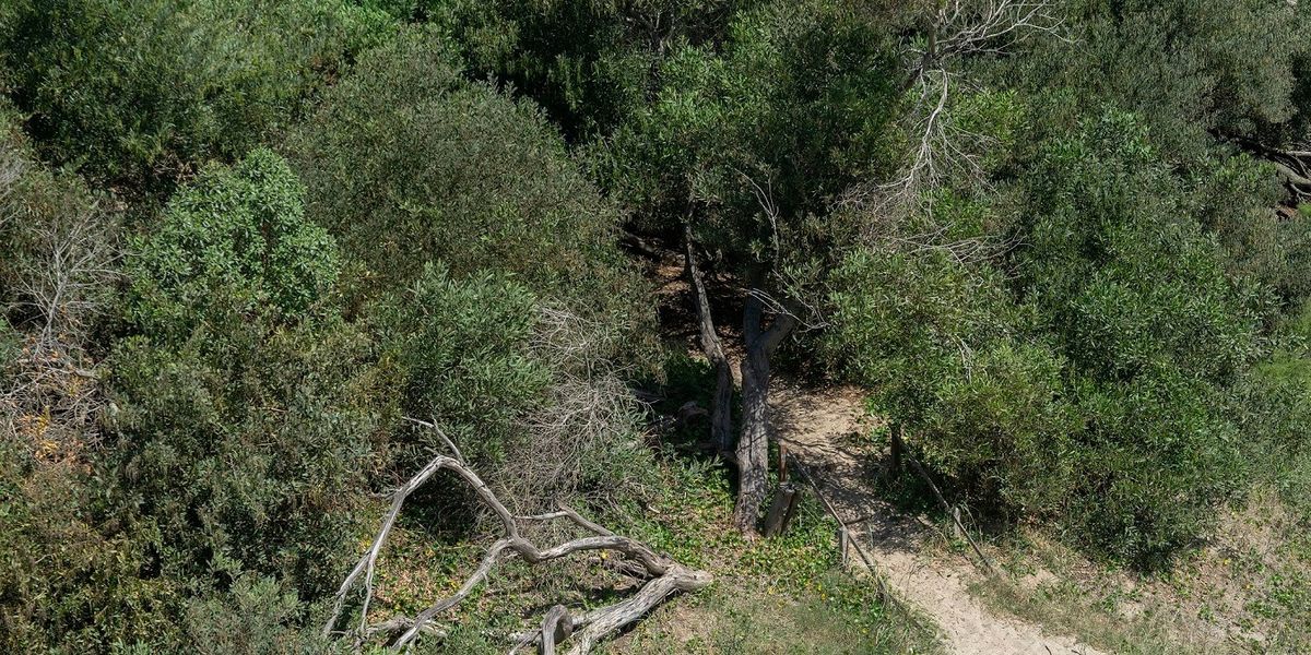 Apart Hotel Valeria Playa 