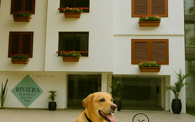 HotelRiveraBoutique - 
                                    Mascotas Permitidas                                