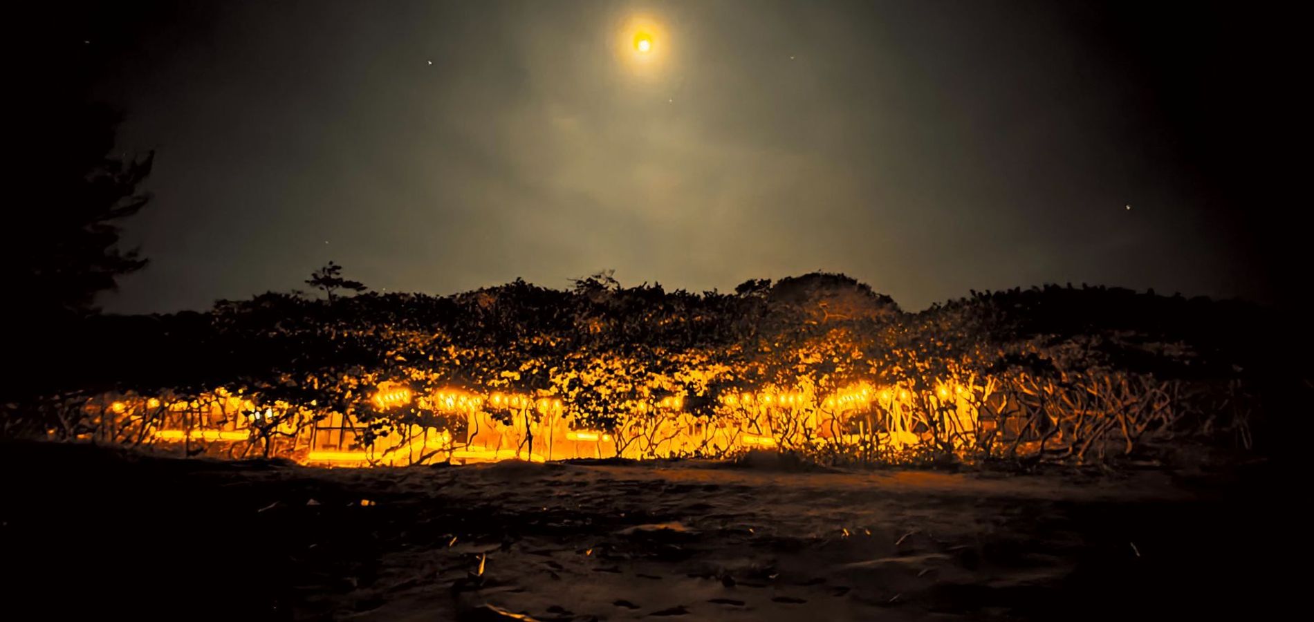 Hotel Playa Tortugas