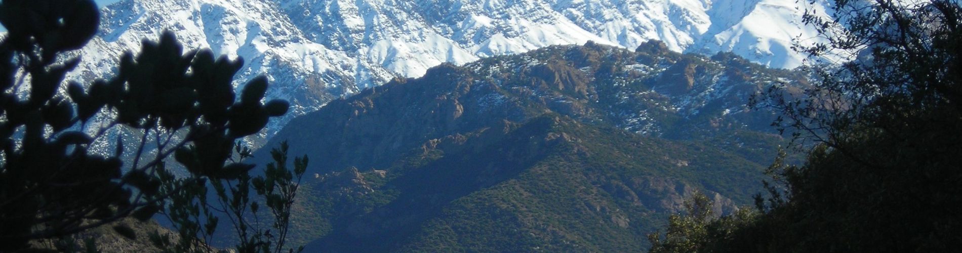 Cabins and Spa Las Lomitas de Guayacan